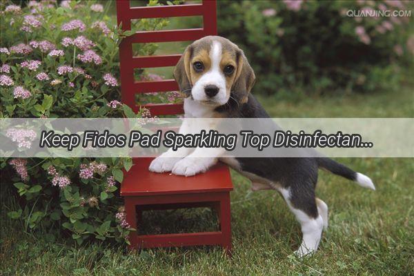 Keep Fidos Pad Sparkling Top Disinfectants for Your Poochs Living Space